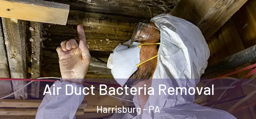  Air Duct Bacteria Removal Harrisburg - PA