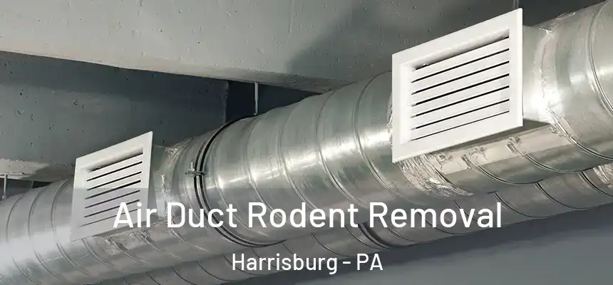  Air Duct Rodent Removal Harrisburg - PA