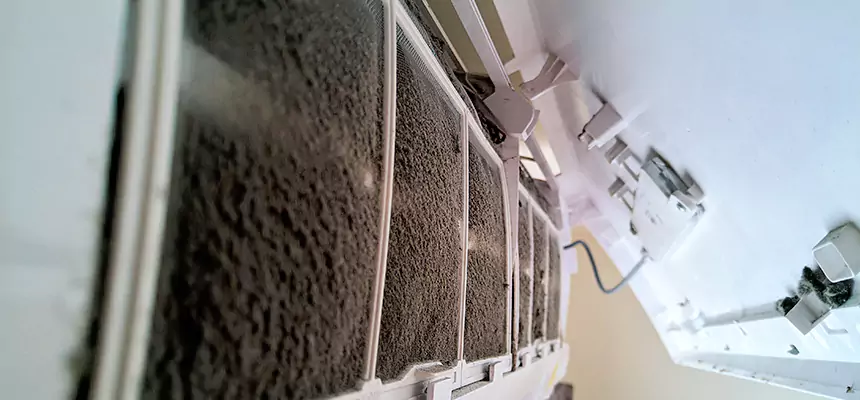 Preventive Air Duct Bacteria Removal in Harrisburg