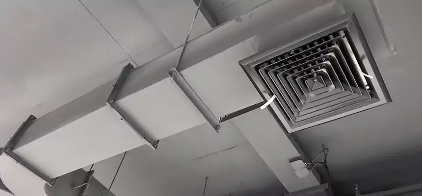 Restorative Allergy Relief Vent Cleaning – Coil, Blower & Housing Detail in Harrisburg