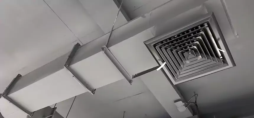 Our Pest Removal From Ducts Services in Harrisburg, PA