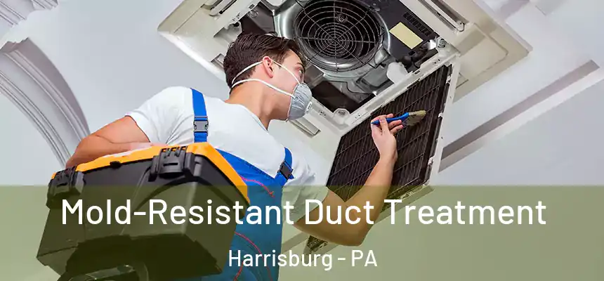  Mold-Resistant Duct Treatment Harrisburg - PA