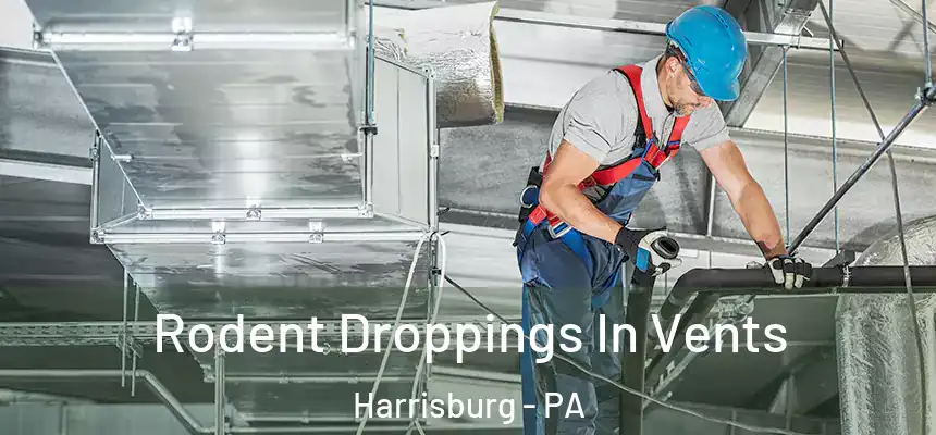  Rodent Droppings In Vents Harrisburg - PA