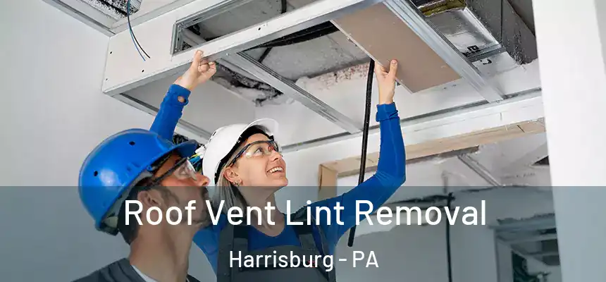  Roof Vent Lint Removal Harrisburg - PA