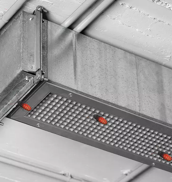 Affordable Insect Removal from Air Ducts in Harrisburg, PA