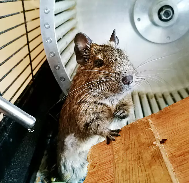 Why Homeowners & Businesses Trust Us Harrisburg, PA