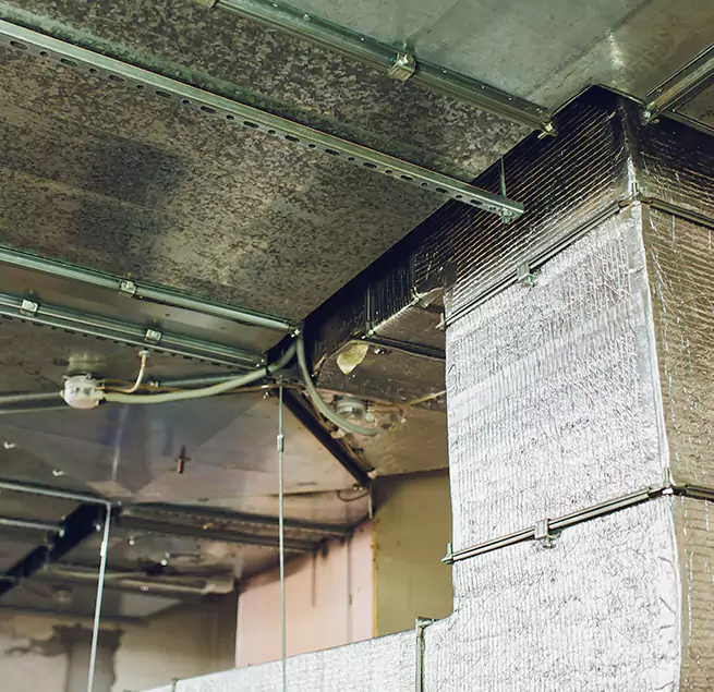 Why Homeowners & Businesses Trust Us in Harrisburg, PA?